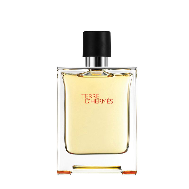 cod_3809003_terre_dhermes-EDT_100ml.jpg