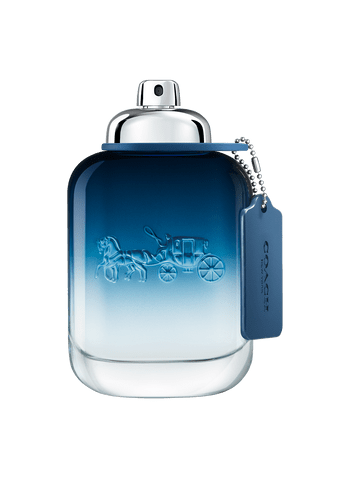 blue-100