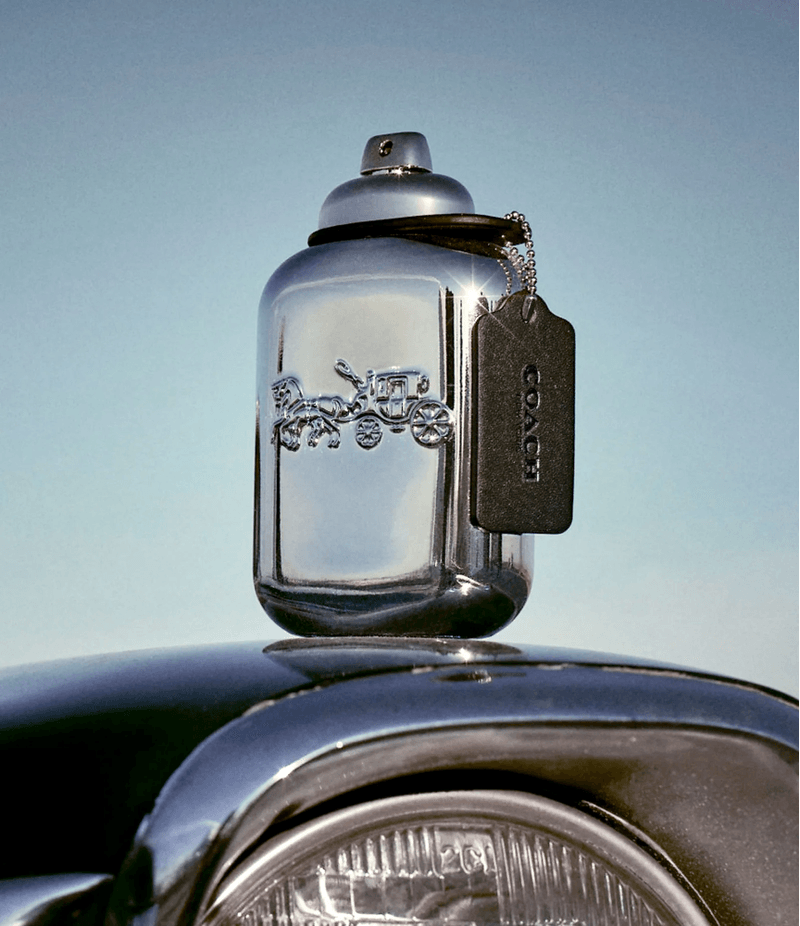coach-platinum-e
