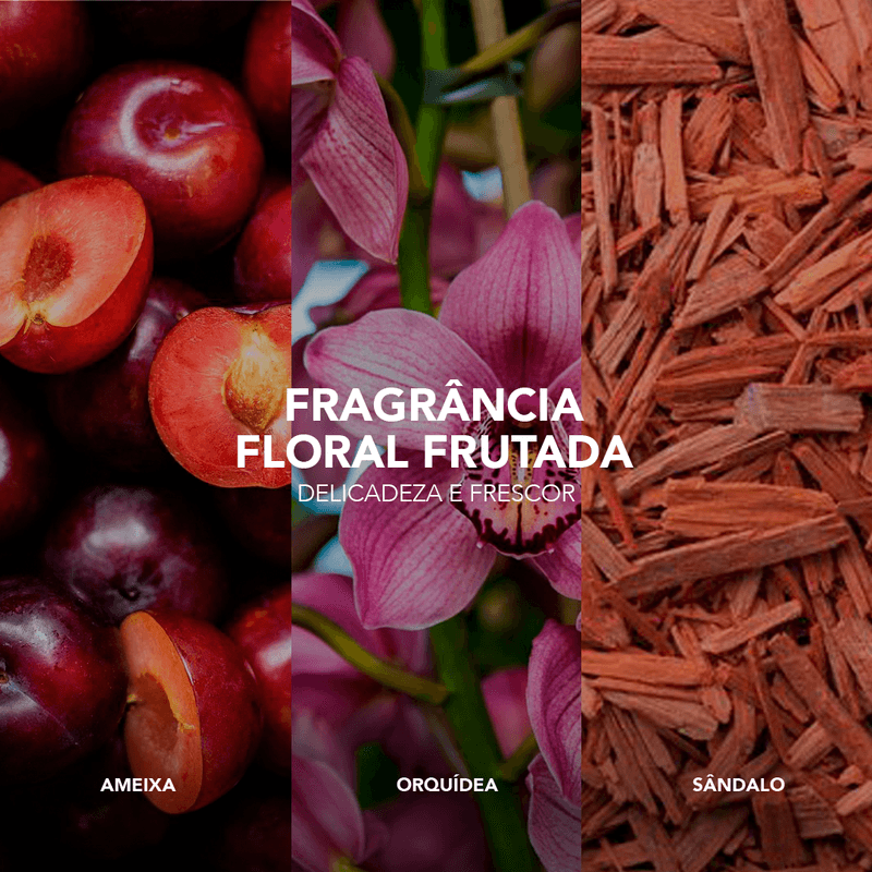 vizcaya_kit_carrossel_fragrancia-5